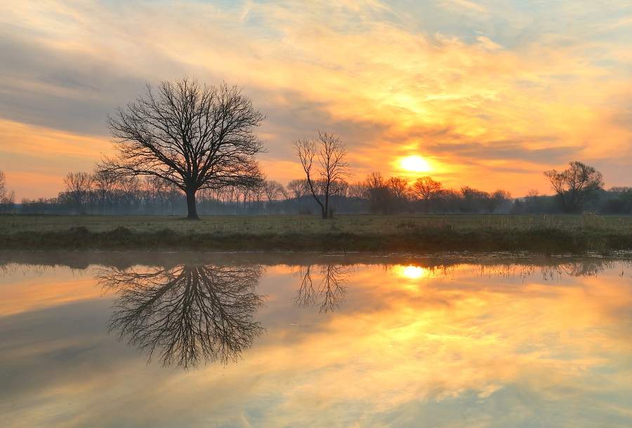 Josefov Meadows Bird Reserve • Česká společnost ornitologická