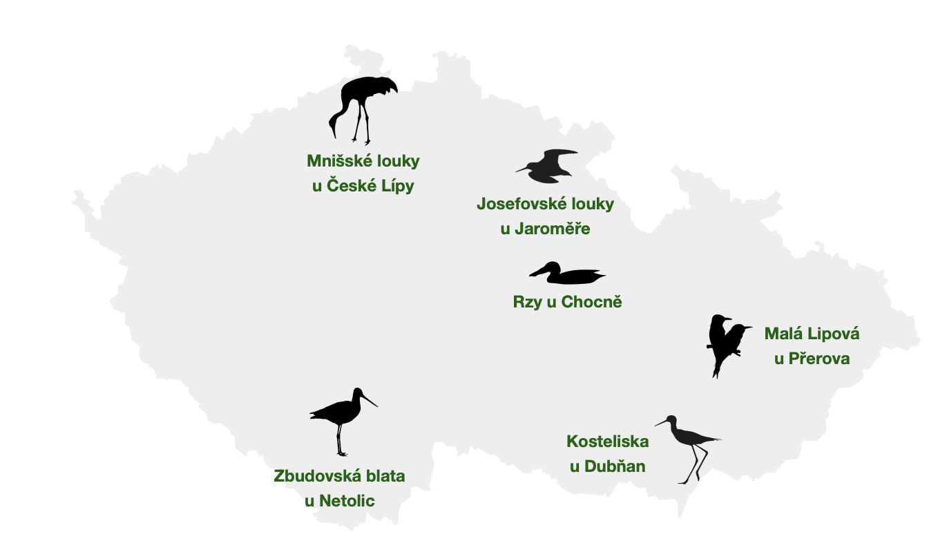 Připravujeme šestý ptačí park – Rzy ve východních Čechách • Česká ...